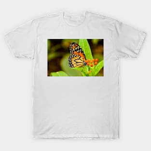 abs butterfly T-Shirt